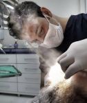 Dentist Mehmet Nazım HAMMUDİOĞLU